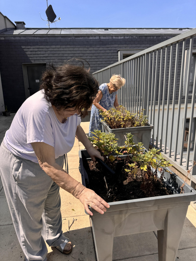 Atelier Jardinage sur la terrasse du 4e étage